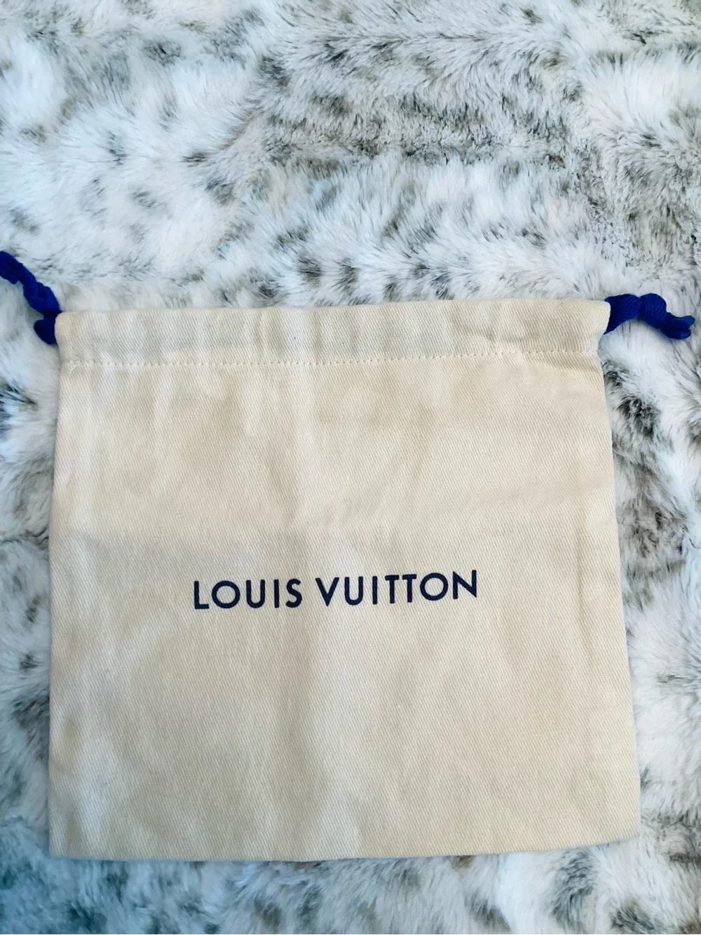 Louis Vuitton Trousse Wapity Pouch